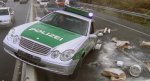 P_DVD271066037022.JPG