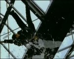 P_DVD015 (2).JPG