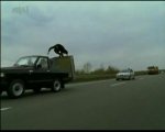 P_DVD062 (2).JPG